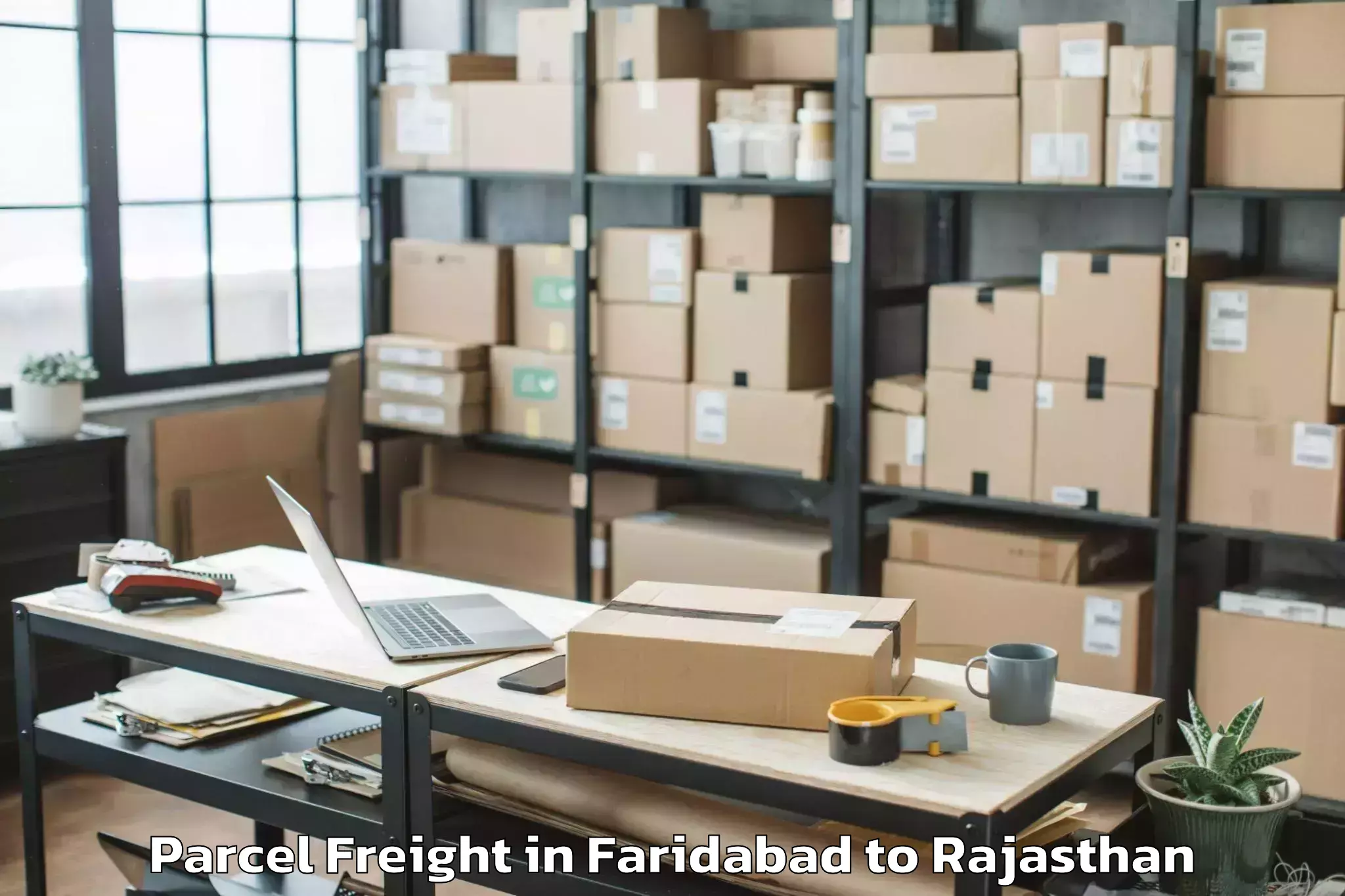 Hassle-Free Faridabad to Geetanjali University Udaipur Parcel Freight